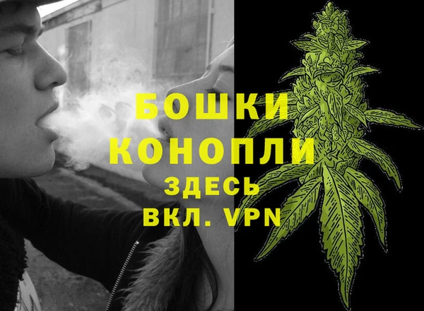 гашик Богородск
