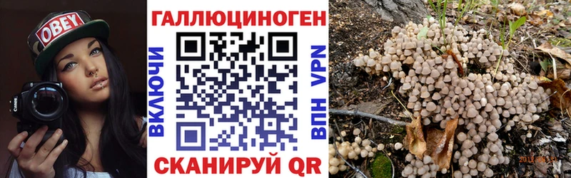 закладка  блэк спрут ссылка  Галлюциногенные грибы MAGIC MUSHROOMS  Надым 